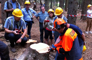 L 'illustrazione delle più moderne tecniche di forestazione e di lavorazione del legno direttamente nel bosco